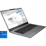 GIGABYTE U4 UD, Notebook grau, ohne Betriebssystem