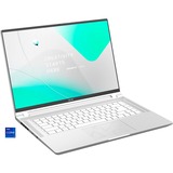 GIGABYTE AERO 16 OLED BSF-A3DE964SQ, Notebook silber, Windows 11 Pro 64-Bit, 60 Hz Display, 1 TB SSD
