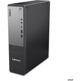 Lenovo ThinkCentre neo 55s Gen 6 (13G0004EGE), PC-System schwarz, Windows 11 Pro