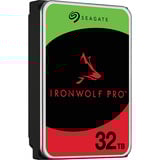 IronWolf Pro 32 TB, Festplatte