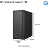 HP OmniDesk M02-0053ng, PC-System schwarz, Windows 11 Home