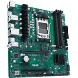 ASUS PRO B650M-CT-CSM, Mainboard grün