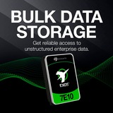 Seagate Exos 7E10 4 TB, Festplatte SATA 6 Gb/s, 3,5"