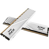 ADATA DIMM 32 GB DDR5-6000 (2x 16 GB) Dual-Kit, Arbeitsspeicher weiß, AX5U6000C3016G-DTLABWH, XPG Lancer Blade, INTEL XMP, AMD EXPO