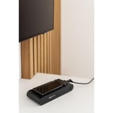 gorenje SVC259400NES, Stielstaubsauger mehrfarbig