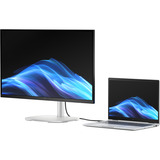HP EliteStudio 8 All-in-One G1i 23.8 inch (A55P2ET), PC-System schiefer, Windows 11 Pro