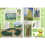 Ravensburger Guinness World Records 2027, Buch Hardcover