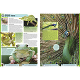 Ravensburger Guinness World Records 2027, Buch Hardcover