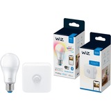 WiZ Bundle Colors LED-Lampe A60 E27 + Bewegungssensor ersetzt 60 Watt