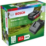 Bosch Starter-Set 36V (GBA 36V 2.0Ah + AL 36V-20), Ladegerät schwarz, 36V POWER FOR ALL, Akku + Ladegerät