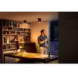 Philips Hue White Ambiance Pillar Einzelspot, LED-Leuchte schwarz, inkl. Dimmschalter
