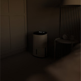 Meaco Dry Arete Two 10L Kompressor-Luftentfeuchter und Luftreiniger weiß/schwarz