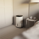 Meaco Dry Arete Two 10L Kompressor-Luftentfeuchter und Luftreiniger weiß/schwarz