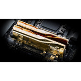 G.Skill DIMM 32 GB DDR5-6000 (2x 16 GB) Dual-Kit, Arbeitsspeicher gold, F5-6000J2636H16GX2-TR5NG, Trident Z5 Royal, AMD EXPO