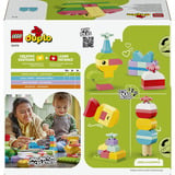 LEGO 10479 DUPLO Classic Bunte Kreativbox, Konstruktionsspielzeug 
