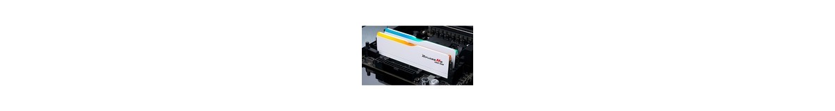 G.Skill DIMM 64 GB DDR5-6000 (2x 32 GB) Dual-Kit, Arbeitsspeicher weiß, F5-6000J3636F32GX2-RM5NRW, Ripjaws M5 Neo RGB, INTEL XMP, AMD EXPO