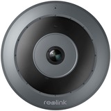 Reolink Fisheye Series P520, Überwachungskamera grau, 6,5 Megapixel, PoE