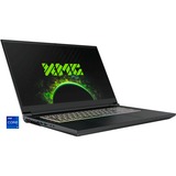XMG PRO 17 (10506058), Gaming-Notebook grau, Windows 11 Pro 64-Bit, 60 Hz Display, 1 TB SSD