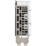 ASUS GeForce RTX 5060 DUAL OC WHITE 8GB, Grafikkarte weiß, DLSS 4, 3x DisplayPort, 1x HDMI 2.1