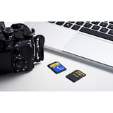 ADATA Premier Extreme SDXC SD8.0 1 TB, Speicherkarte schwarz, SD8.0 Express, UHS-I U3, Class 10, V30