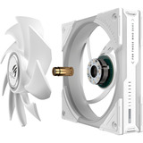 ASUS ROG Eurux GR120 ARGB, Gehäuselüfter weiß, 3er Pack, 122 mm