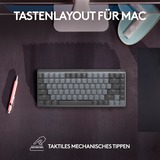 Logitech MX Mechanical Mini für Mac, Tastatur dunkelgrau/hellgrau, DE-Layout, taktile Schalter, Bluetooth, kompatibel mit macOS, iPadOS und iOS