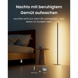 SwitchBot Floor Lamp smarte Stehlampe, LED-Lampe schwarz