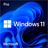 Microsoft Windows 11 Pro, Betriebssystem-Software 64-Bit, Englisch, USB-Stick