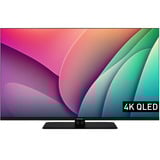 TV-55W80AEZ, QLED-Fernseher