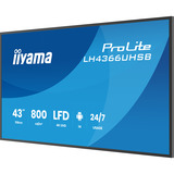 iiyama LH4366UHSB-B1AG, Public Display schwarz (matt), UltraHD/4K, VA, HDMI, USB-C