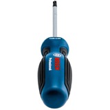 Bosch Schraubendreher TX 25 x 100 Professional blau/schwarz