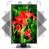NEC Multisync EA245WMi Generalüberholt, LED-Monitor 61 cm (24 Zoll), schwarz, WUXGA, AH-IPS, HDMI, DVI, VGA, DisplayPort, USB-Hub