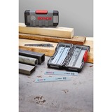 Bosch Professional Säbelsägeblatt-Satz Wood and Metal Basic, 15-teilig in ToughBox