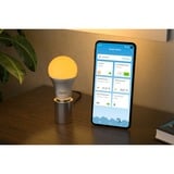 FRITZ! DECT 500, LED-Lampe 