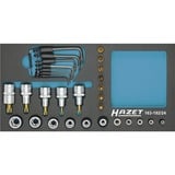 Hazet Steckschlüsseleinsatz-Satz Sechsrund 163-192/24, Größe 1/3 24-teilig