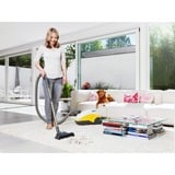 Thomas Perfect Air Animal Pure , Bodenstaubsauger grau