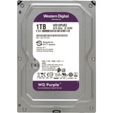 WD Purple 1 TB, Festplatte SATA 6 Gb/s, 3,5", Bulk