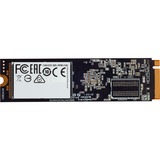 Corsair Force MP510B 960 GB, SSD schwarz, PCIe 3.0 x4, NVMe, M.2 2280