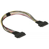 DeLOCK Kabel U.2 SFF-8639 (Buchse) > U.2 SFF-8639 (Buchse) 50 cm