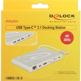 DeLOCK USB Type C 3.1, Dockingstation silber, LAN, VGA, HDMI, USB, SD, Audio