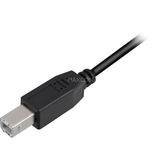 Sharkoon USB 2.0 Kabel, USB-A Stecker > USB-B Stecker schwarz, 1,0 Meter