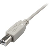Sharkoon USB 2.0 Kabel, USB-A Stecker > USB-B Stecker grau, 0,5 Meter