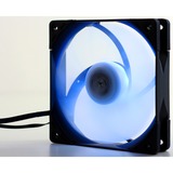 Scythe Kaze Flex RGB 1800 120x120x27, Gehäuselüfter 120 mm