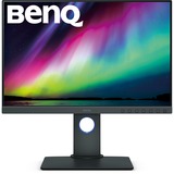 BenQ PhotoVue SW240, LED-Monitor 61.21 cm (24.1 Zoll), grau, WUXGA, IPS, HDMI, DVI-DL