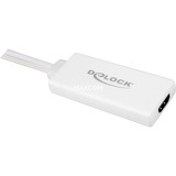 DeLOCK USB 2.0 Adapter, USB-A + VGA Stecker > HDMI Buchse weiß, 25cm