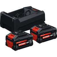 Bosch Professional EXPERT Starter-Set 2x EXBA 18V-55 + Dual-Voltage-Ladegerät GAL 12V/18V-80 schwarz, 2x Li-Ionen Akku 5,5Ah, AMPShare Alliance