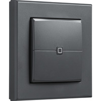 Homematic IP Wandtaster – 2-fach (HmIP-WRC2-A-2), Schalter anthrazit