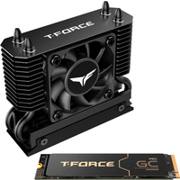 Team Group T-Force GA PRO 4 TB, SSD schwarz, PCIe 5.0 x4 | M.2 2280 | T-FORCE DARK AirFlow-Kühlkörper