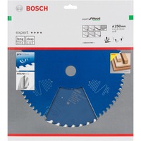 Bosch Kreissägeblatt Expert for Wood, Ø 250mm, 40Z Bohrung 30mm, für Kapp- & Gehrungssägen