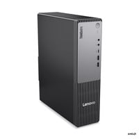 Lenovo ThinkCentre neo 55s Gen 6 (13G00009GE), PC-System schwarz, Windows 11 Pro
